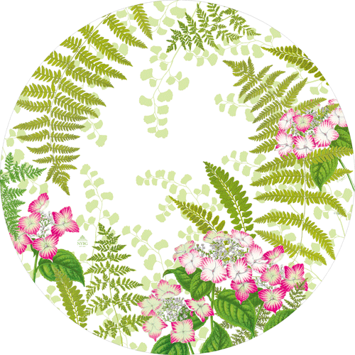 Fern Garden Paper Placemats