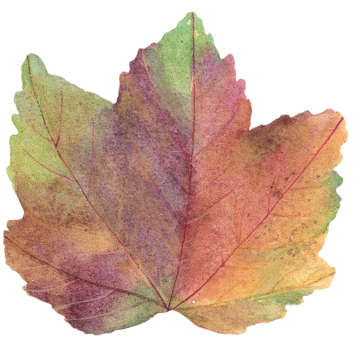 Autumn Leaf Die Cut Placemats Set/4