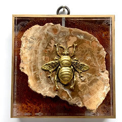 Museum Bees