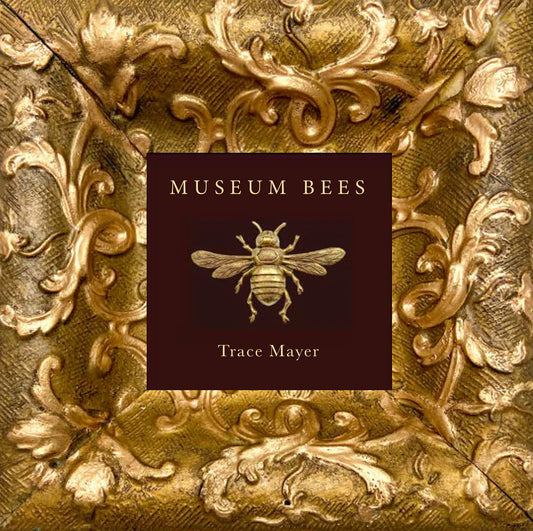 Museum Bees by Trace Mayer