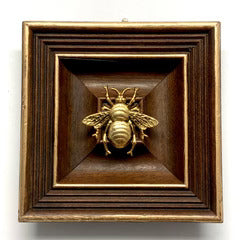 Museum Bees