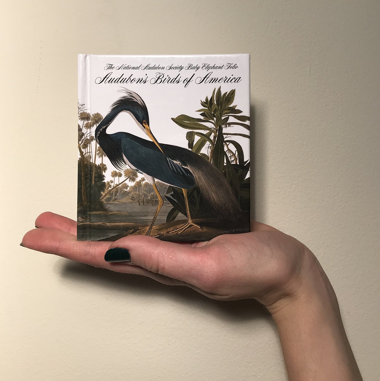 Audubon's Birds of America