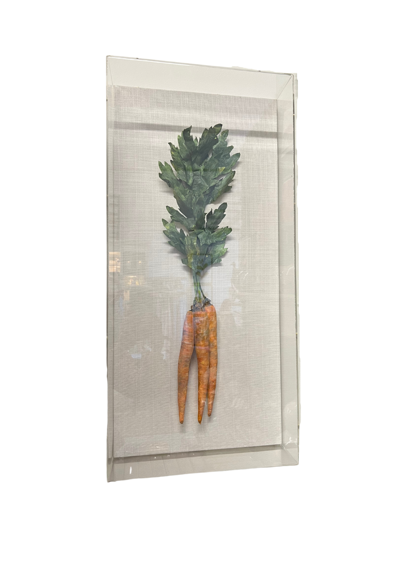 Large Vegetable Studies by Tommy Mitchell